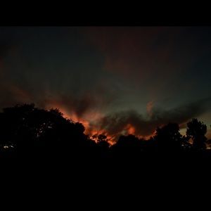 Meet your Posher, Damaris